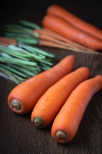 Advanced Plants for Hydroponics Growing carrots using Hydroponic Systems