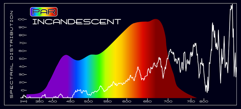 800px-PAR_Incandescent_Spectral_Comparison