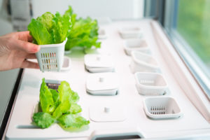 Equipment That Certain Hydroponic Systems Need Home hydroponics