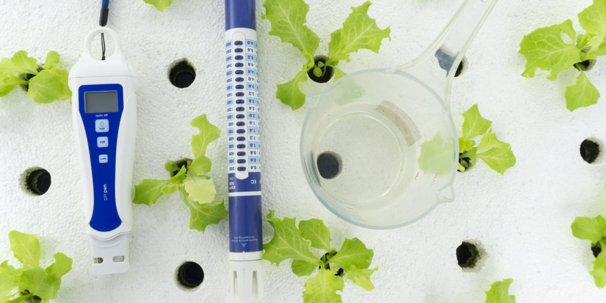 Digital pH meter tester and cup measure on white foam. vegetables salad in greenhouse hydroponics garden, Close up.. Digital pH meter tester and cup measure on white foam. vegetables salad in greenhouse hydroponics garden, Close up..