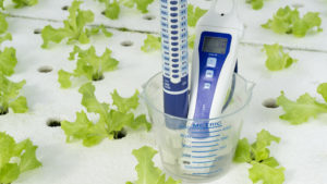 Hydroponic System Maintenance and Monitoring: Quick Guide Digital pH meter tester and cup measure on white foam. vegetables salad in greenhouse hydroponics garden, Close up..