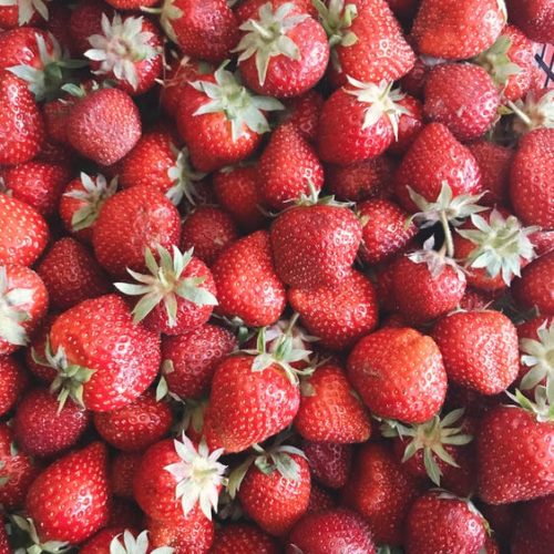 Growing strawberries in hydroponics Growing strawberries in hydroponics