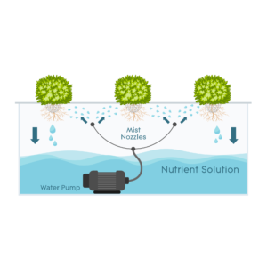 Aeroponics Aeroponics
