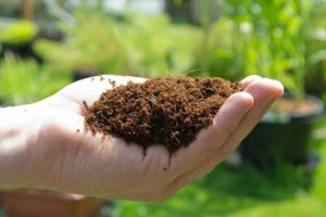 Hydroponic Grow Medium: Most Widely Used Types Coco Coir - Hydroponic Growing Medium