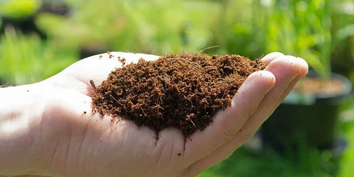 Coco Coir Coco Coir