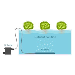 Deep Water Culture Deep Water Culture systems