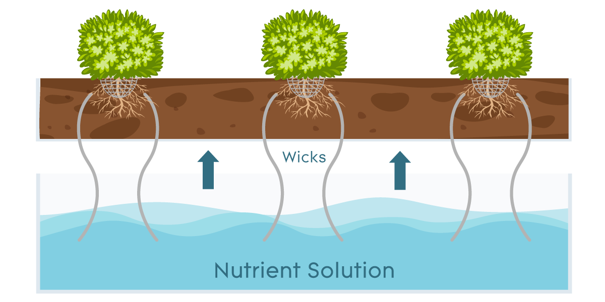 Wick System Wick System