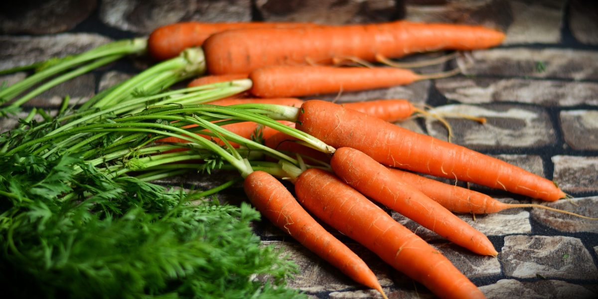Growing carrots using Hydroponic Systems Growing carrots using Hydroponic Systems