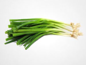 Hydroponic Chives: The Grow Guide chives in aquaponics