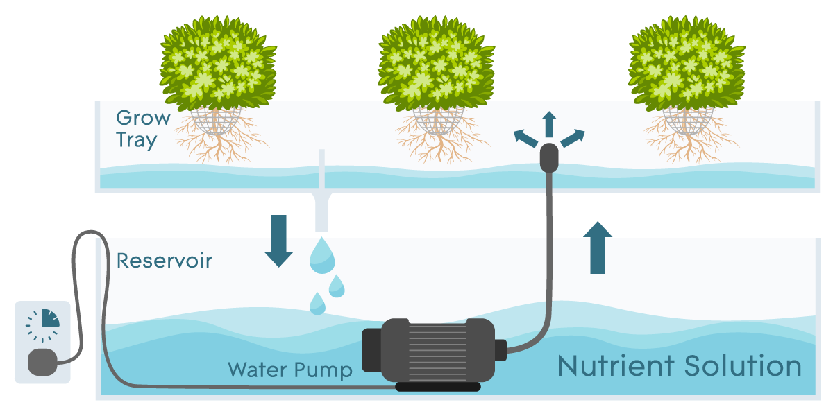 Ebb and Flow systems Ebb and Flow systems