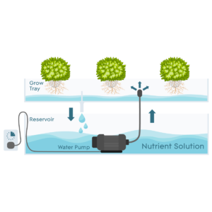Easy DIY Ebb and Flow System Ebb and Flow systems