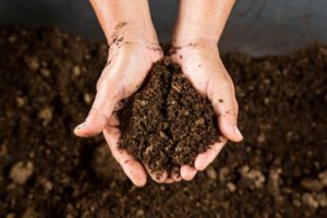 Basics of DIY Nutrient Solution Peat moss - Hydroponic Growing Medium