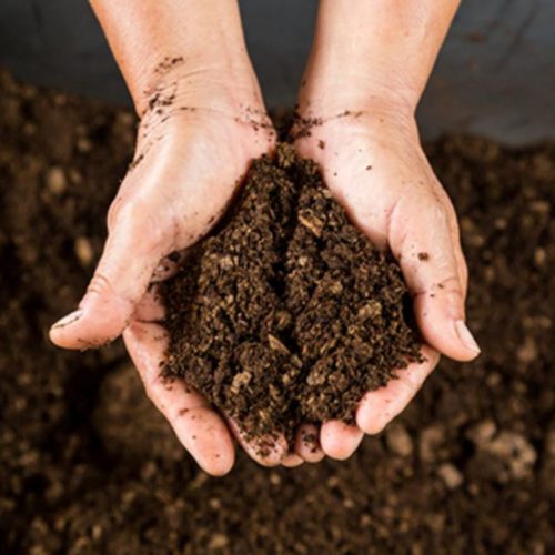 Peat moss - Hydroponic Growing Medium Peat moss - Hydroponic Growing Medium
