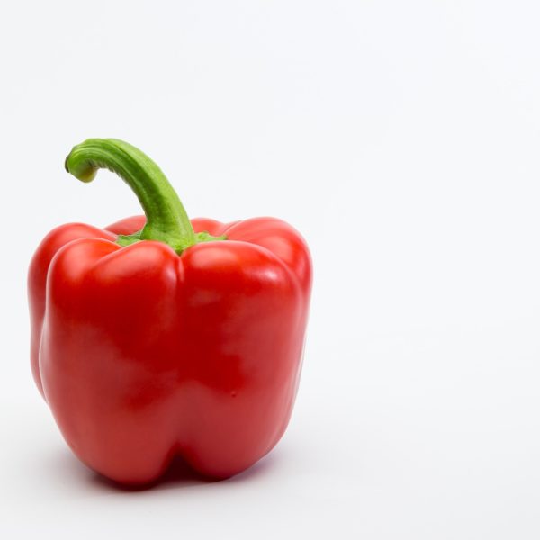Bell pepper in hydroponics Bell pepper in hydroponics