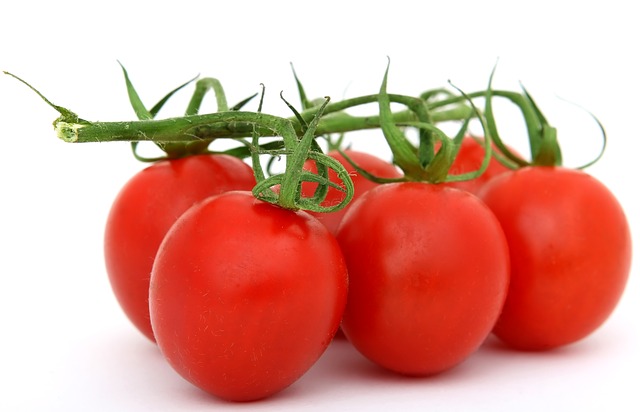 Grow hydroponic tomatoes Grow hydroponic tomatoes