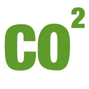 How Much CO₂ Do Plants Need? How Much CO₂ Do Plants Need?