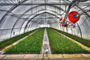 Monitoring CO₂ greenhouse