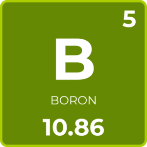 Boron for Plants 5-Boron