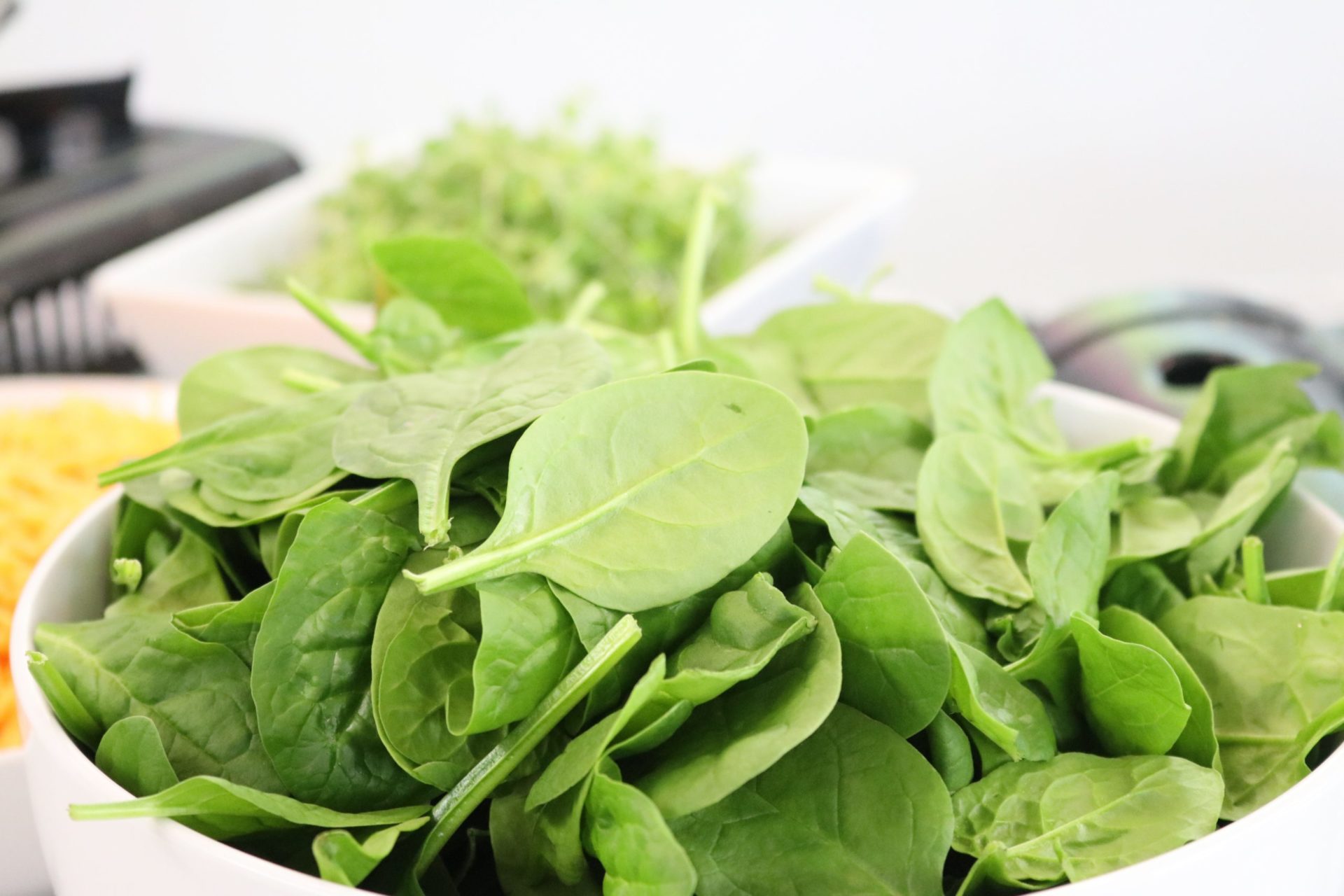 How to Grow Hydroponic Spinach - AGrowTronics - IIoT For Growing