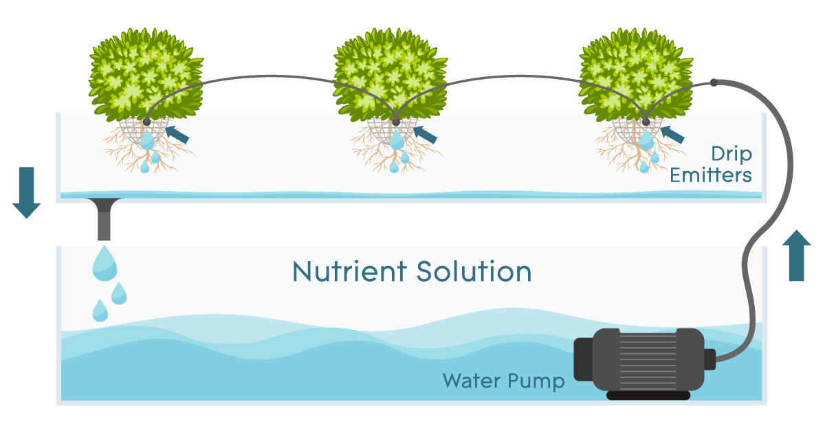 Drip Systems - How They Work - AGrowTronics - IIoT For Growing