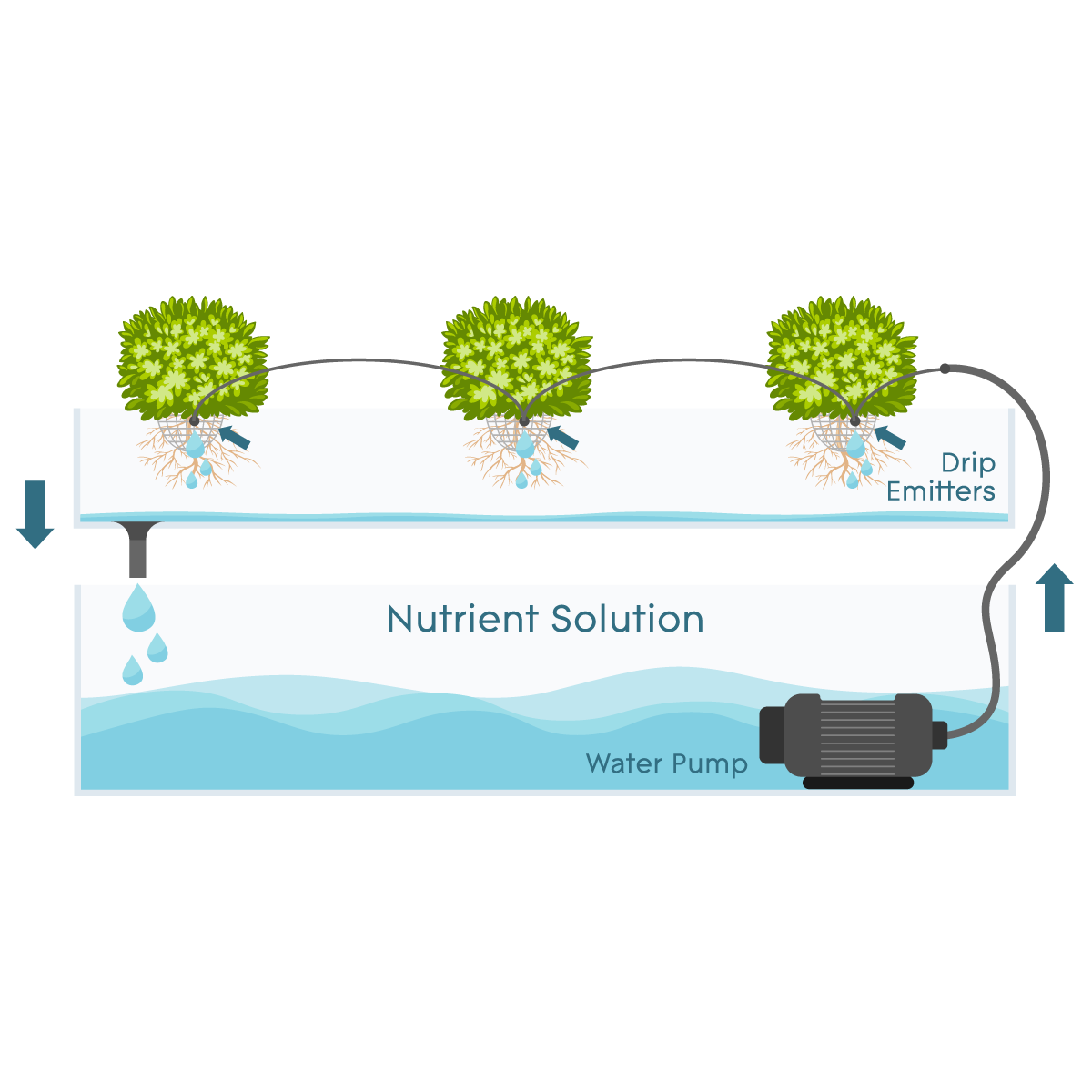 Drip Systems How They Work AGrowTronics IIoT For Growing